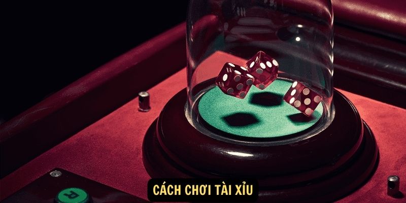 Bỏ Túi Ngay Cách Chơi Tài Xỉu 78WIN Hốt Bạc Cực Dễ 6 Cách chơi tài xỉu