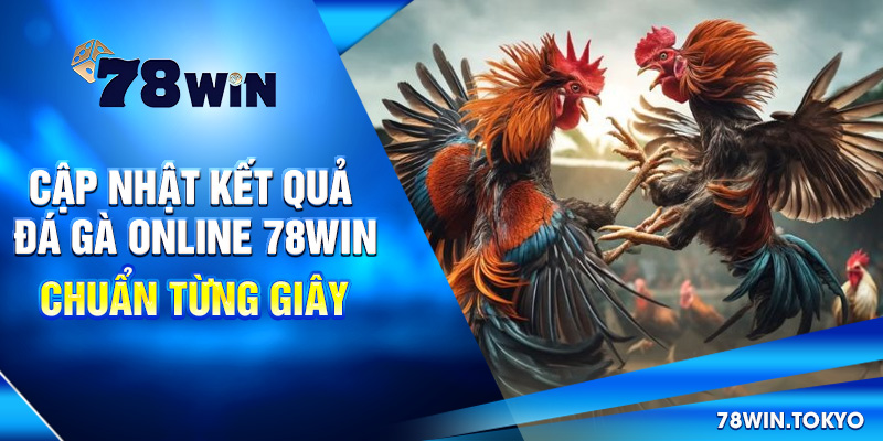 Cập Nhật Kết Quả Đá Gà Online 78win – Chuẩn Từng Giây