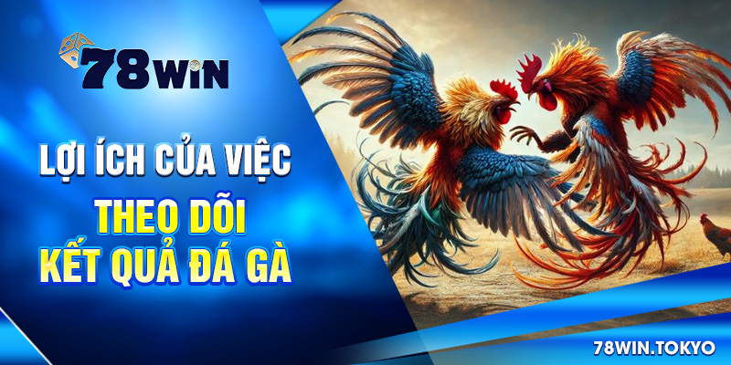 Lợi ích của việc theo dõi kết quả đá gà