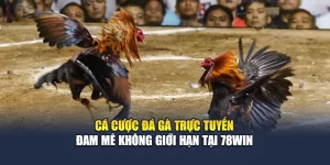 Cá Cược Đá Gà Trực Tuyến – Đam Mê Không Giới Hạn Tại 78win