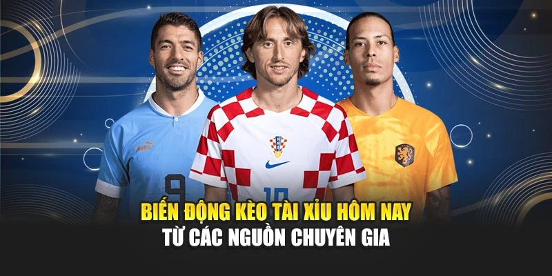 Biến động kèo tài xỉu hôm nay từ các nguồn chuyên gia