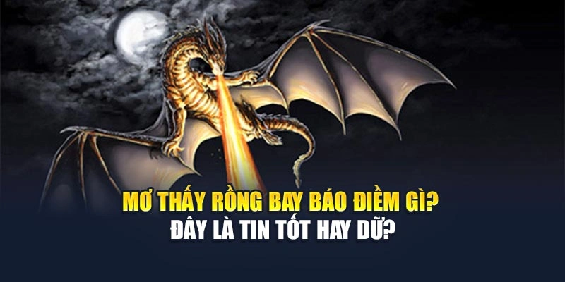 Mơ Thấy Rồng Bay Báo Điềm Gì Tại 78Win? - Đây Là Tin Tốt Hay Dữ?